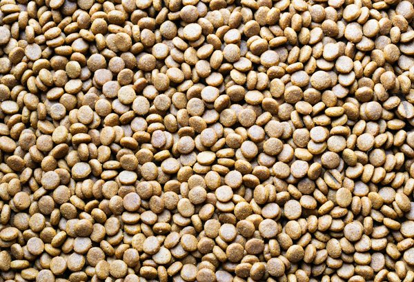 La grossesse nerveuse : point de vue médical